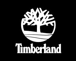 🌲 Timberland 🪵